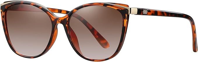 Trendy Cat Eye Sunglasses for Women Fashion Cateye UV400 Protection Glasses CL22017 | Amazon (US)