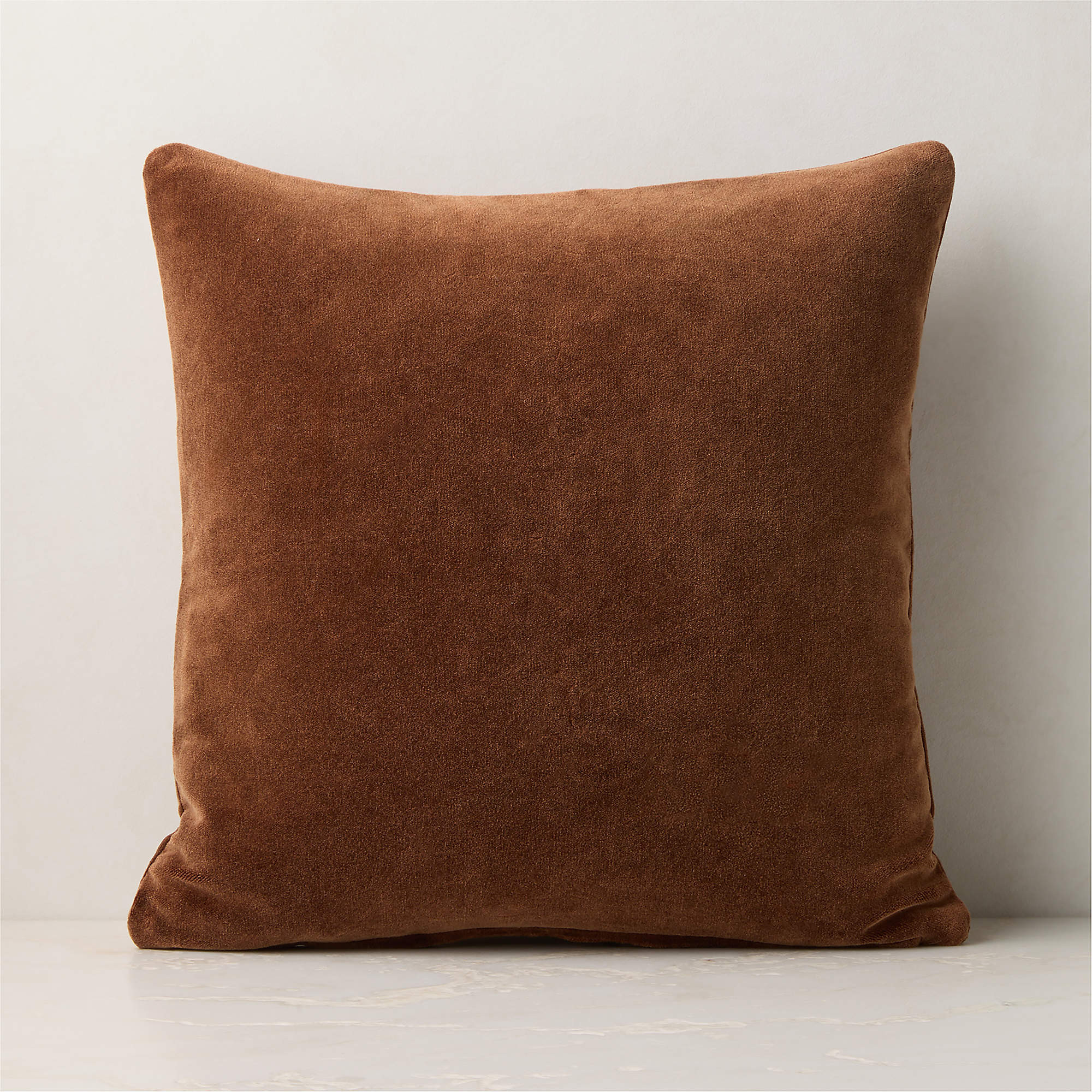 Encino Sienna Brown Organic Cotton Stonewashed Velvet Throw Pillow with Down-Alternative Insert 2... | CB2