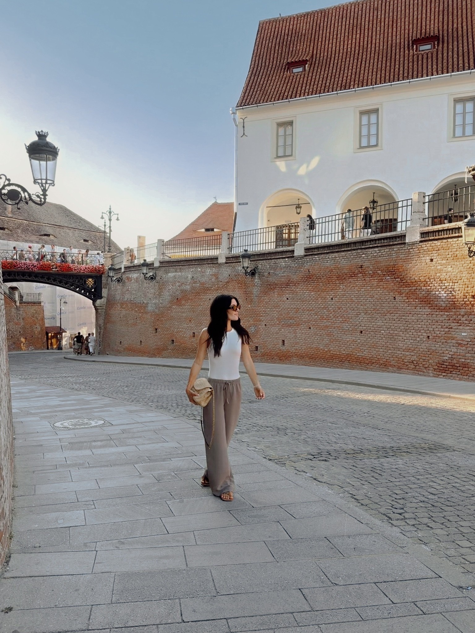 Best no wrinkle pants! Travel outfit. Basics.

#LTKPetite #LTKTravel #LTKootd