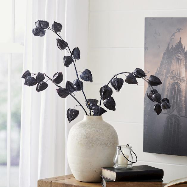 Black Chinese Lantern Stems,  Set of Three | Grandin Road | Grandin Road