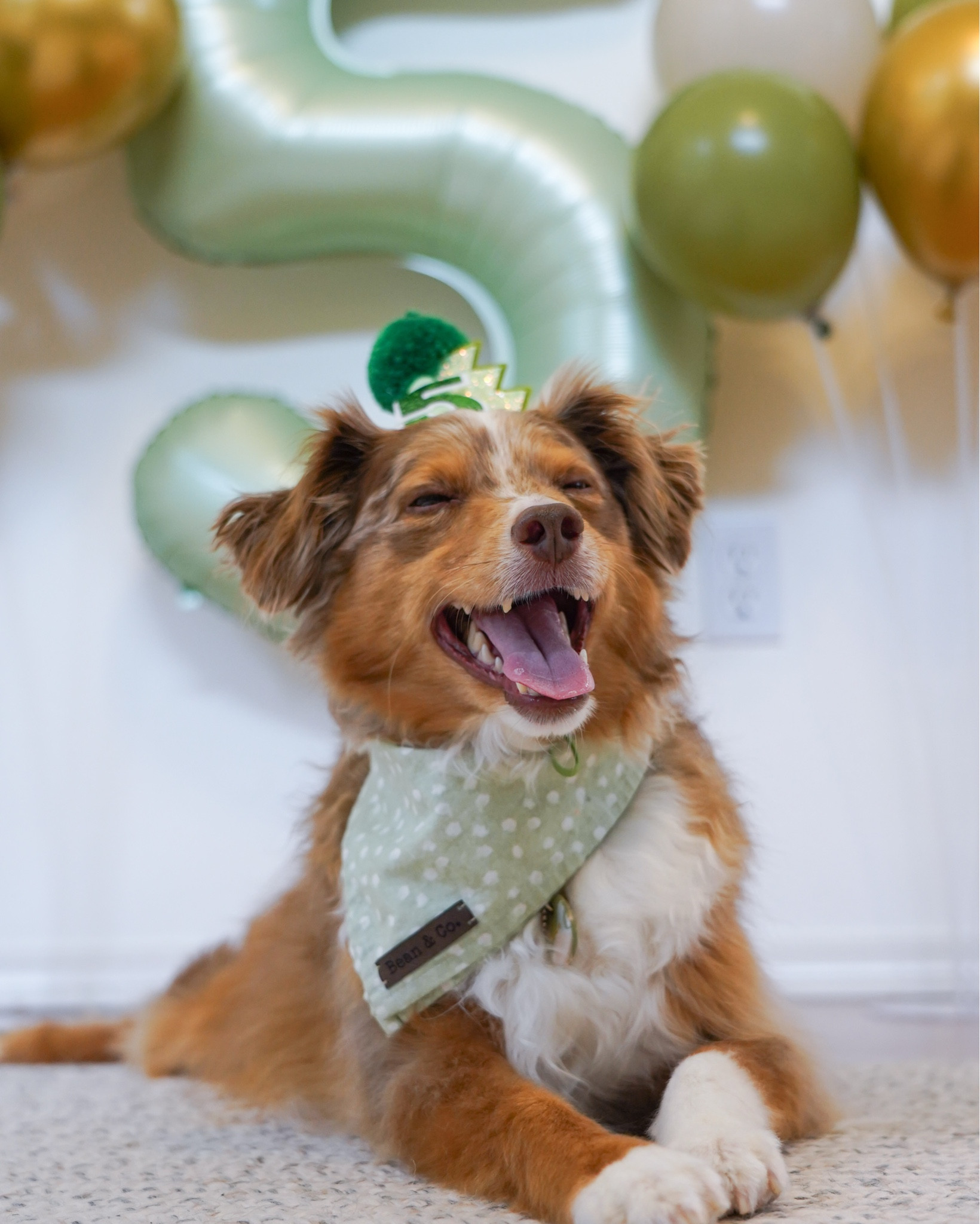 Ayce’s Birthday Party Supplies! 🦖💚🎂 
