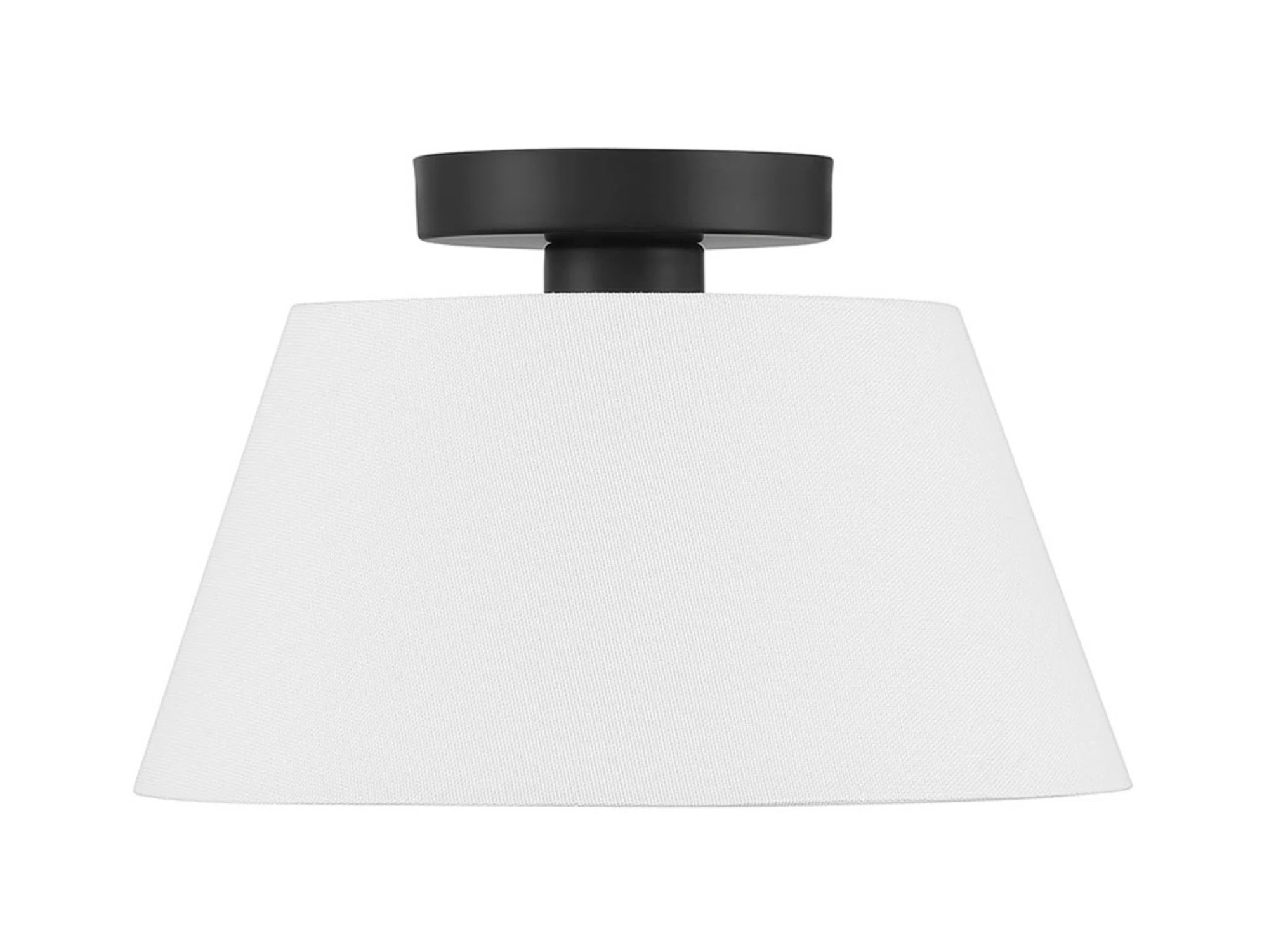 Meridian 1-Light Ceiling Light in Matte Black | Wayfair North America