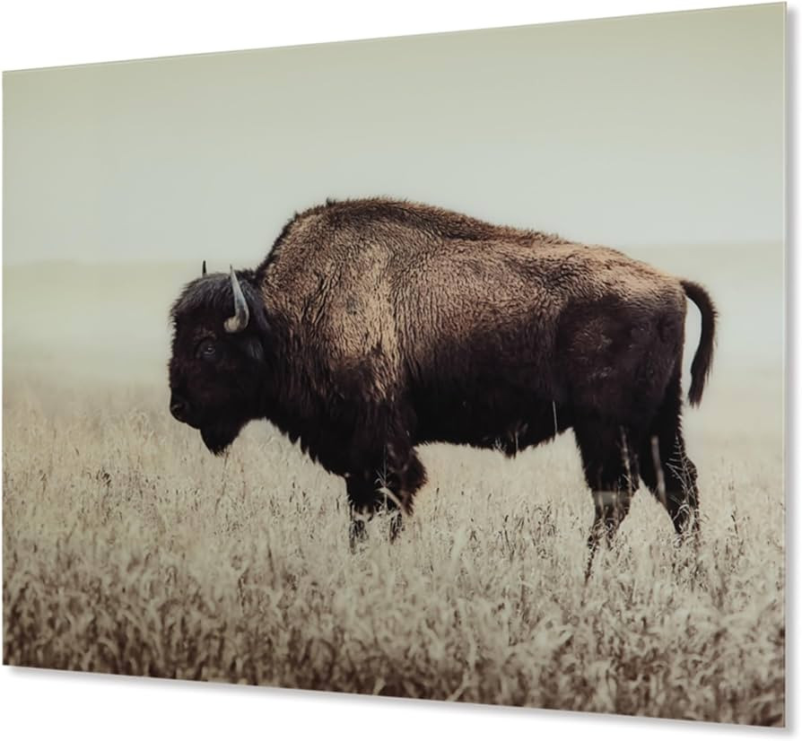 Signature Design by Ashley Brutus Rustic Glass American Bison Canvas Wall Art, 48 x 36, Brown | Amazon (US)