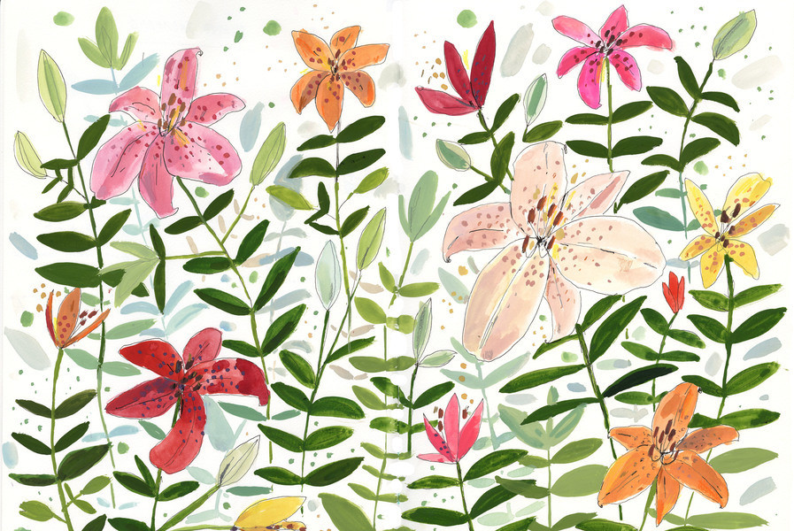 Lily Flowers | Artfully Walls