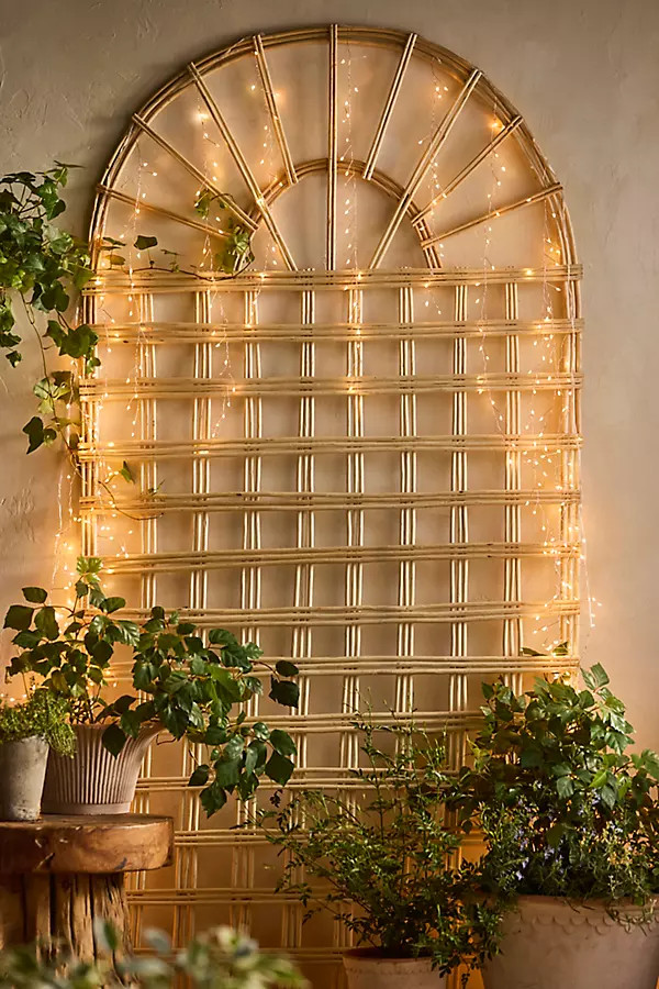 Stargazer Twinkling Icicle Light Strand at Terrain | Terrain