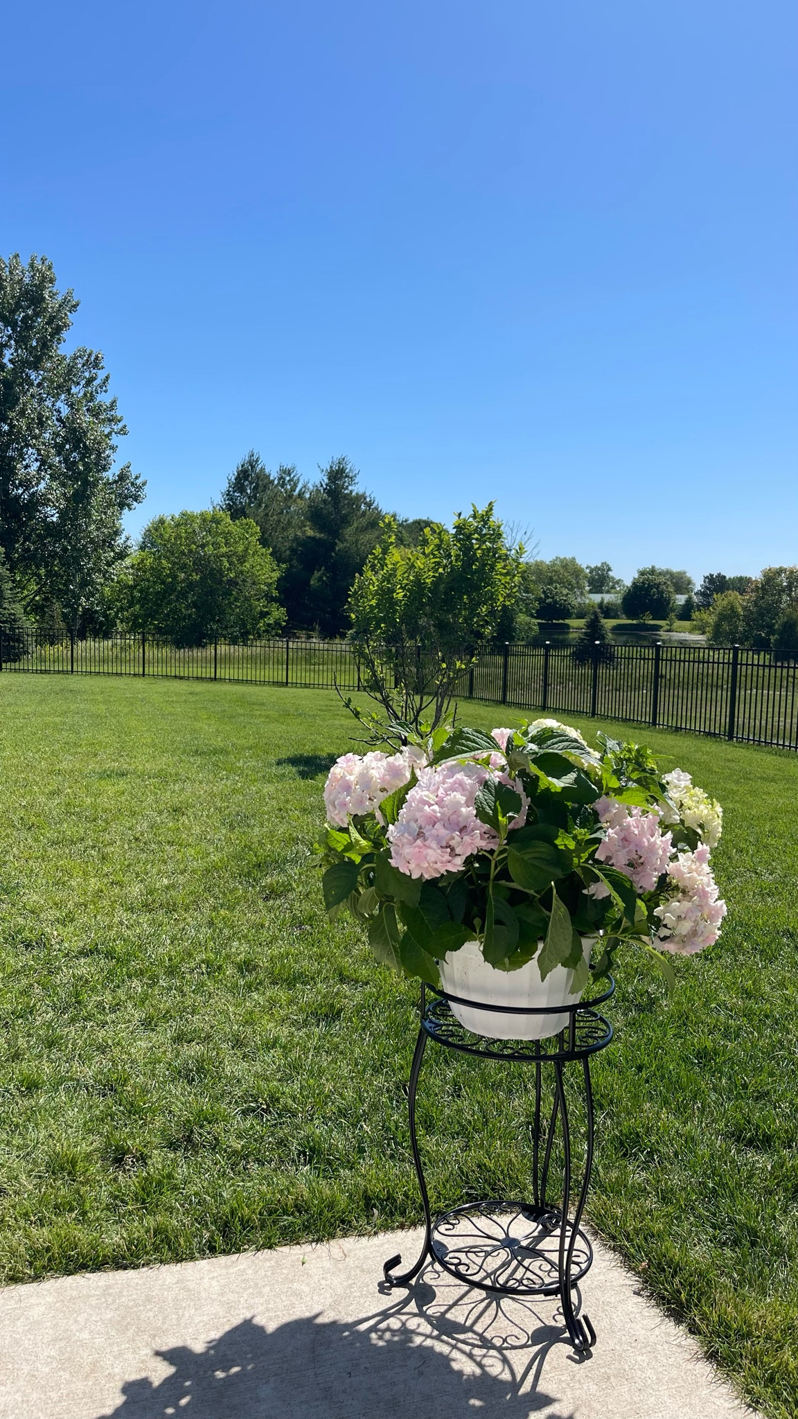 Plant stand from Amazon 🩷