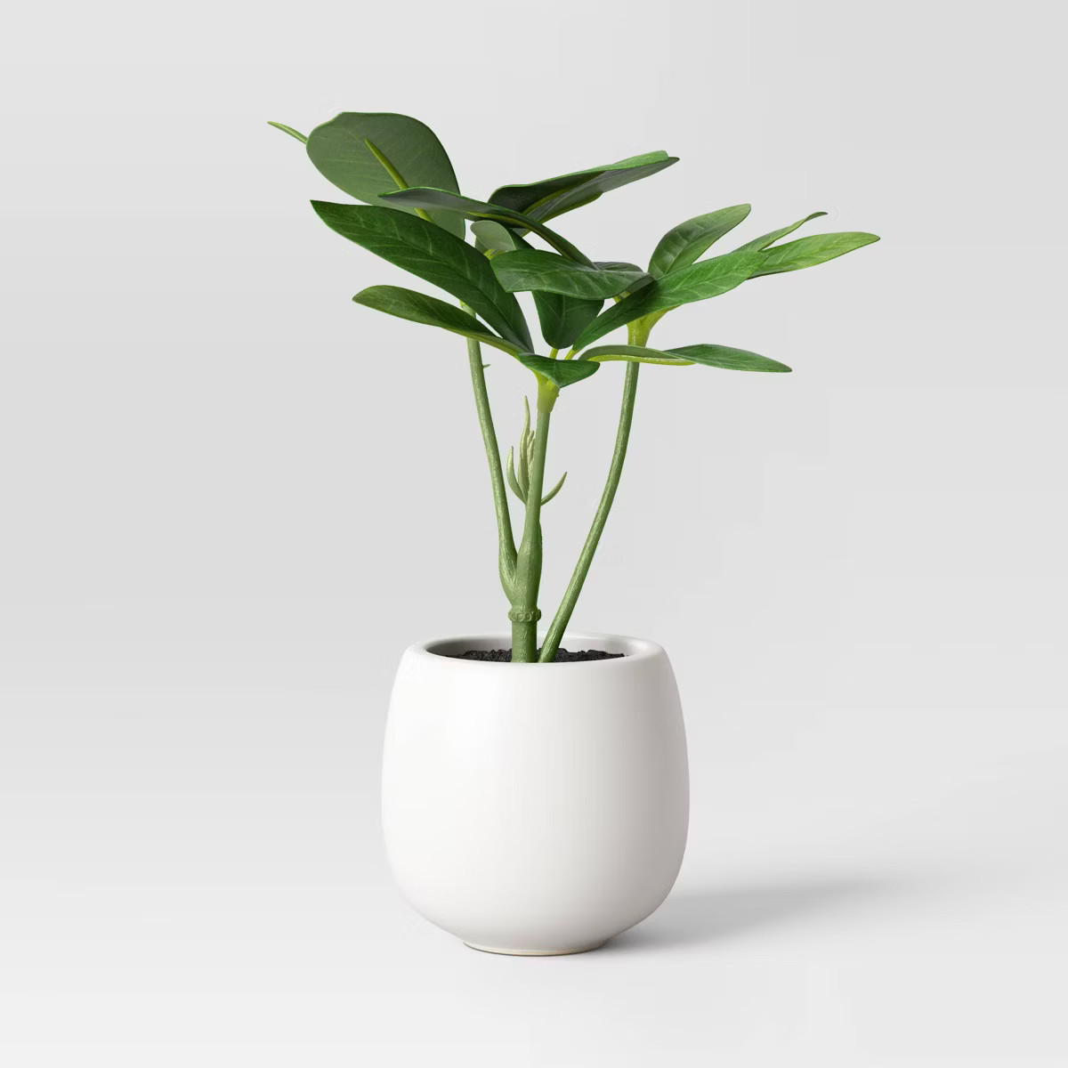 6" Mini Tabletop Schefflera Artificial Plant - Threshold™ | Target