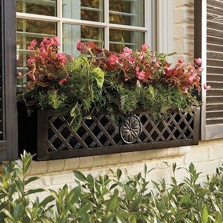 Bunny Williams Shipman Window Box Planter | Ballard Designs, Inc.