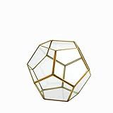 Torre & Tagus Oro Glass Sphere Terrarium, Gold, One Size | Amazon (US)