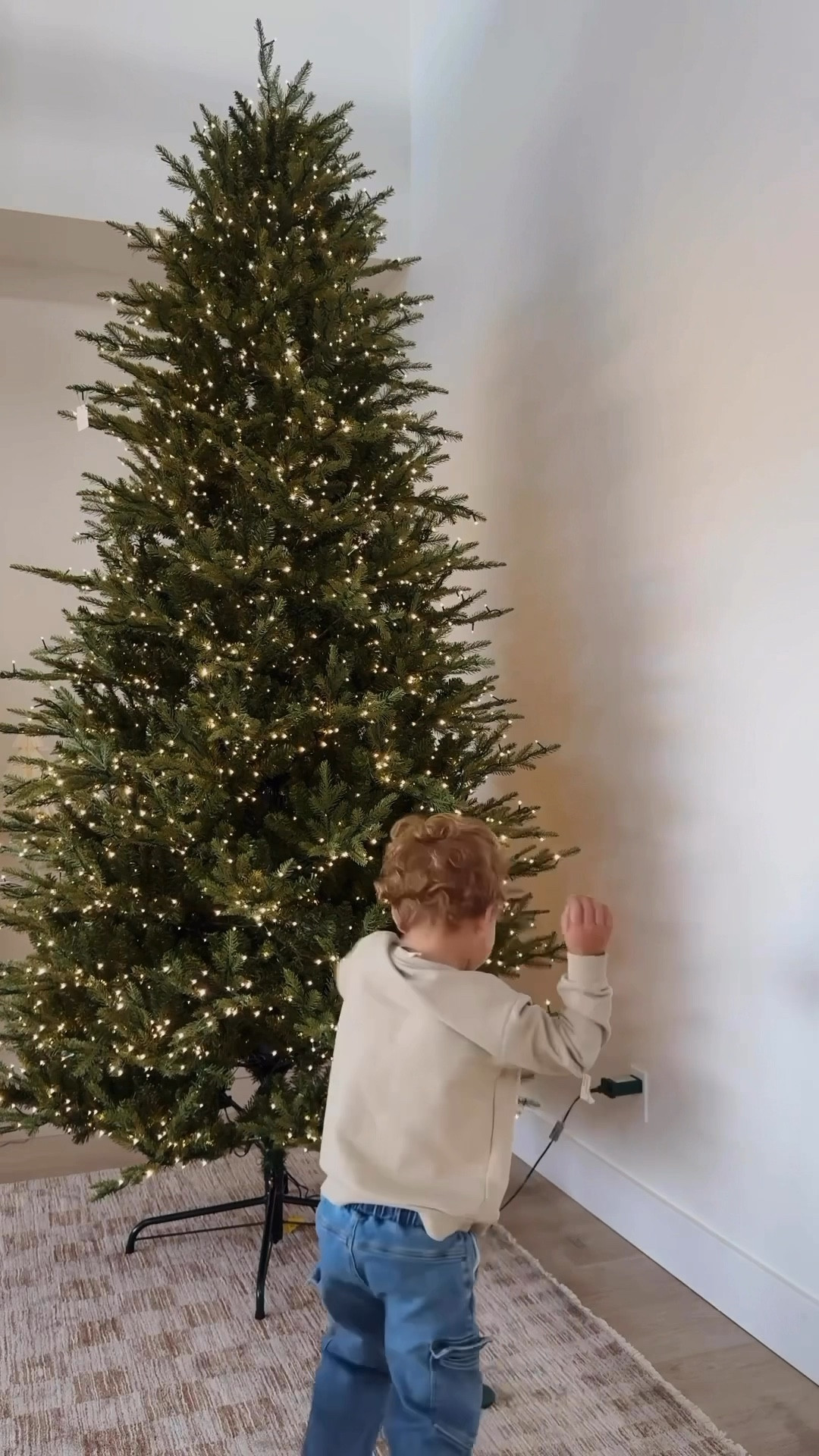 I missed out on the viral twinkle tree last year so I made sure to not miss it this year! It’s back in stock in all sizes! I have the 9ft full version! It also comes in a slim

#LTKHoliday #LTKHome #LTKSeasonal