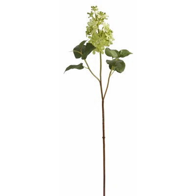 LILAC SPRAY | Wayfair North America