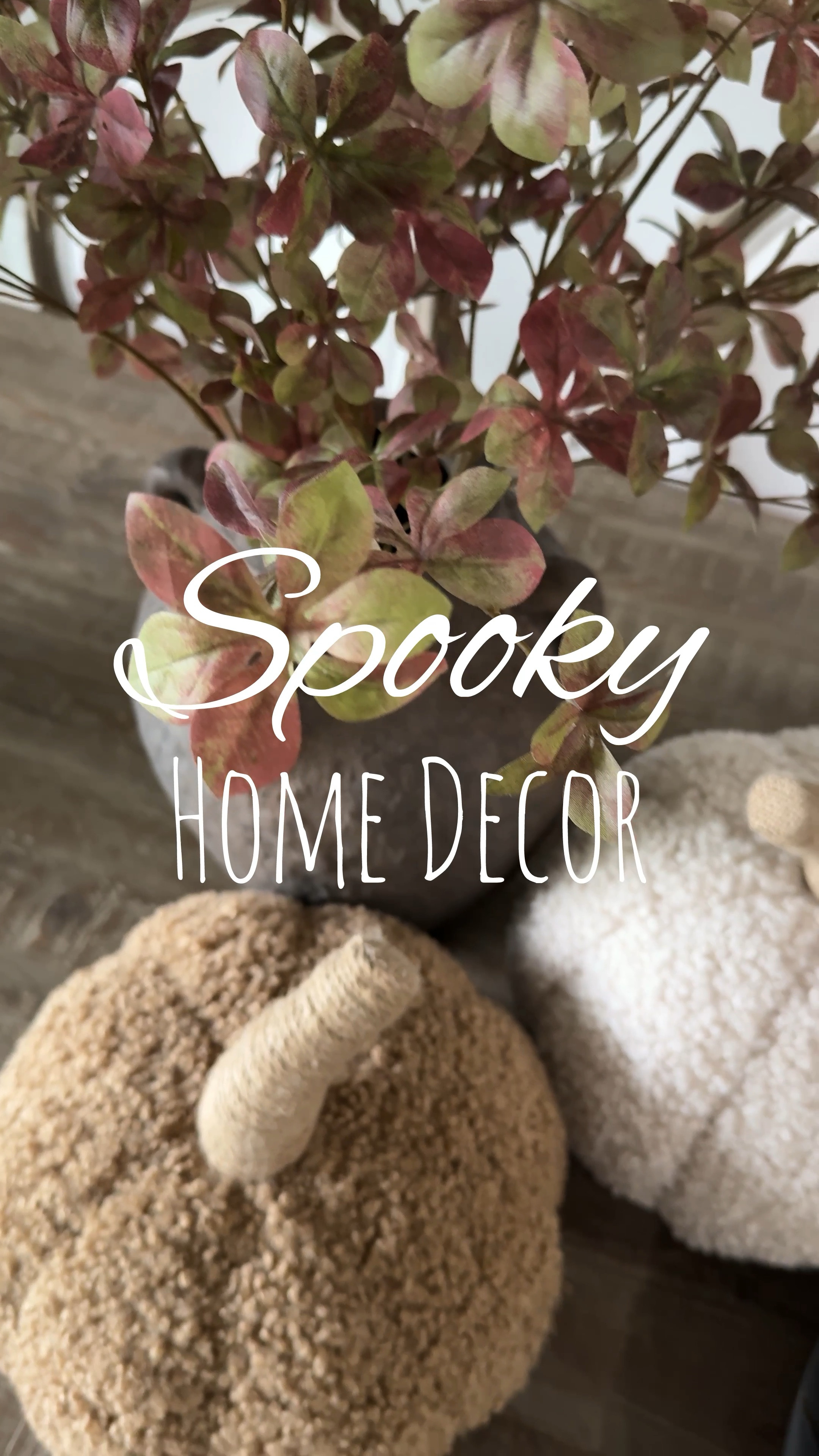 Tons of spooky Halloween home decor coming up from Pottery Barn, Crate & Barrel, cb2, target, Wayfair, Walmart, and much much more! It’s time to set up my Halloween decorations. Follow along to see what I have in stock! PS this is just a little bit of what I have taken out so far there’s going to be a lot more coming up. Fun home decor for the fall! I don’t know if fall or Christmas is my favorite, I get so excited for both! Natural neutral aesthetic classic style.

#LTKFallSale #LTKSaleAlert #LTKSeasonal