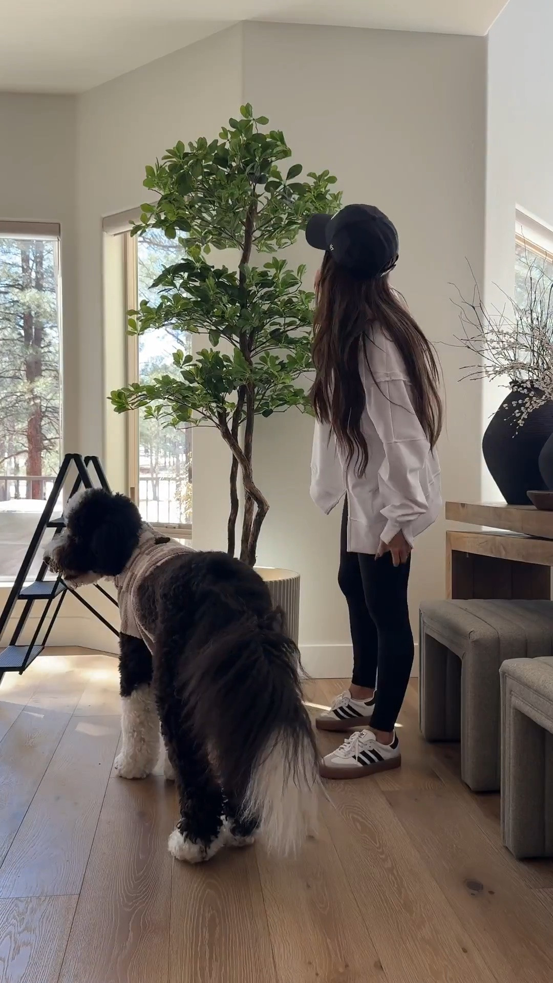 I love how unique this faux tree is instantly elevates any space in your home
Fluted planter, remote control tree light, I used risers to protect my wood floor
Amazon home, interior decoration ideas, modern organic home 



#LTKOver40 #LTKmomlife #LTKHome