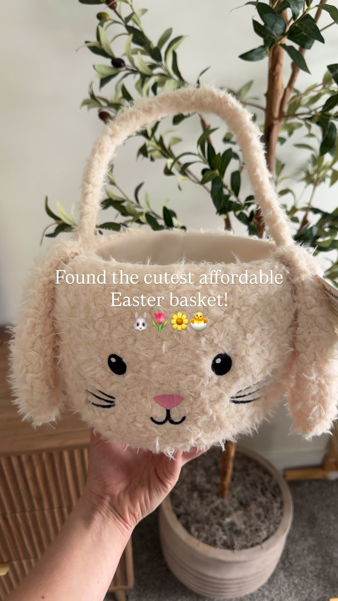 Found the cutest little Easter basket! So much cuter than pottery barn, and way more affordable! I’ll link some of my other favorites too! 🐰🌷🐣💌

#LTKSeasonal #LTKKids