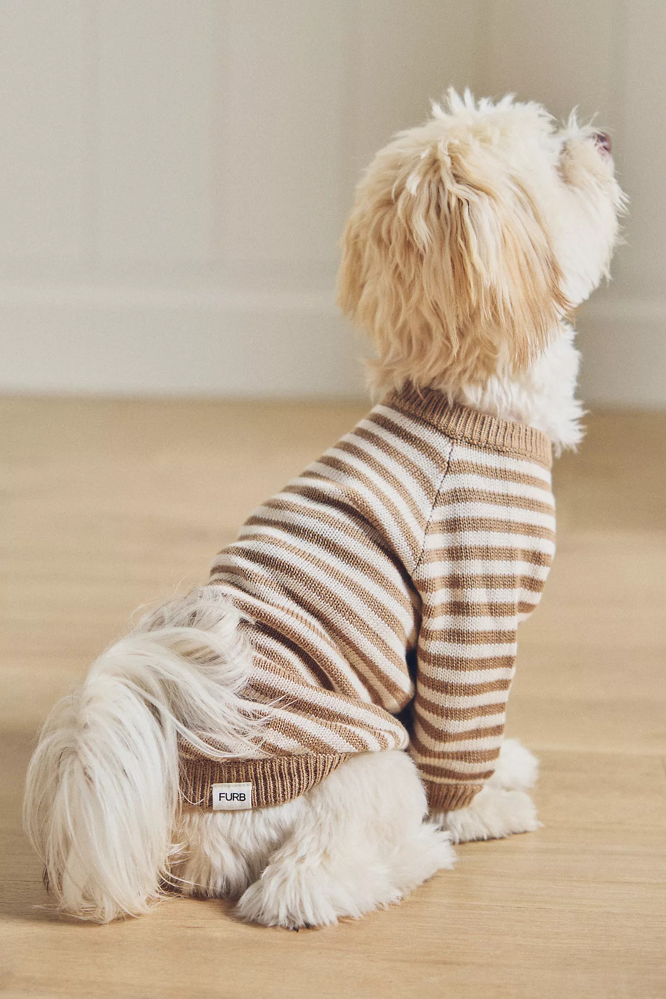 FURB Like a Bandit Striped Pet Sweater | Anthropologie (US)