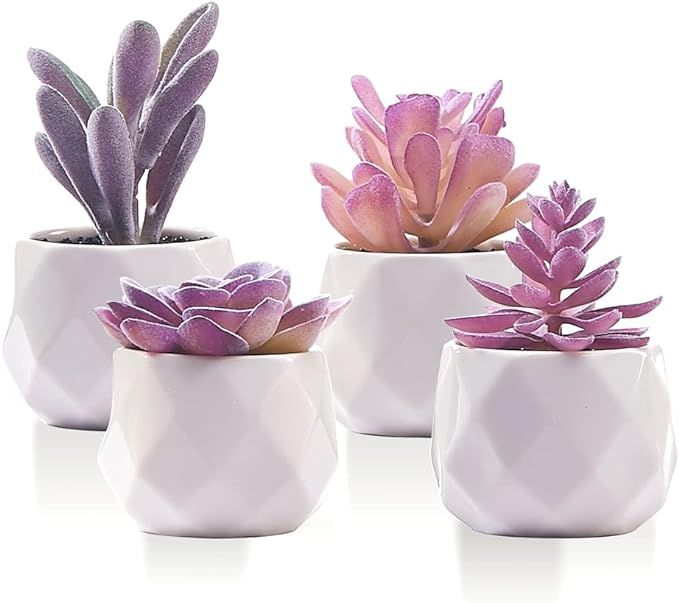 CADNLY Fake Succulent Plant Set - Artificial Succulent Plants for Women Desk - Realistic Faux Suc... | Amazon (US)