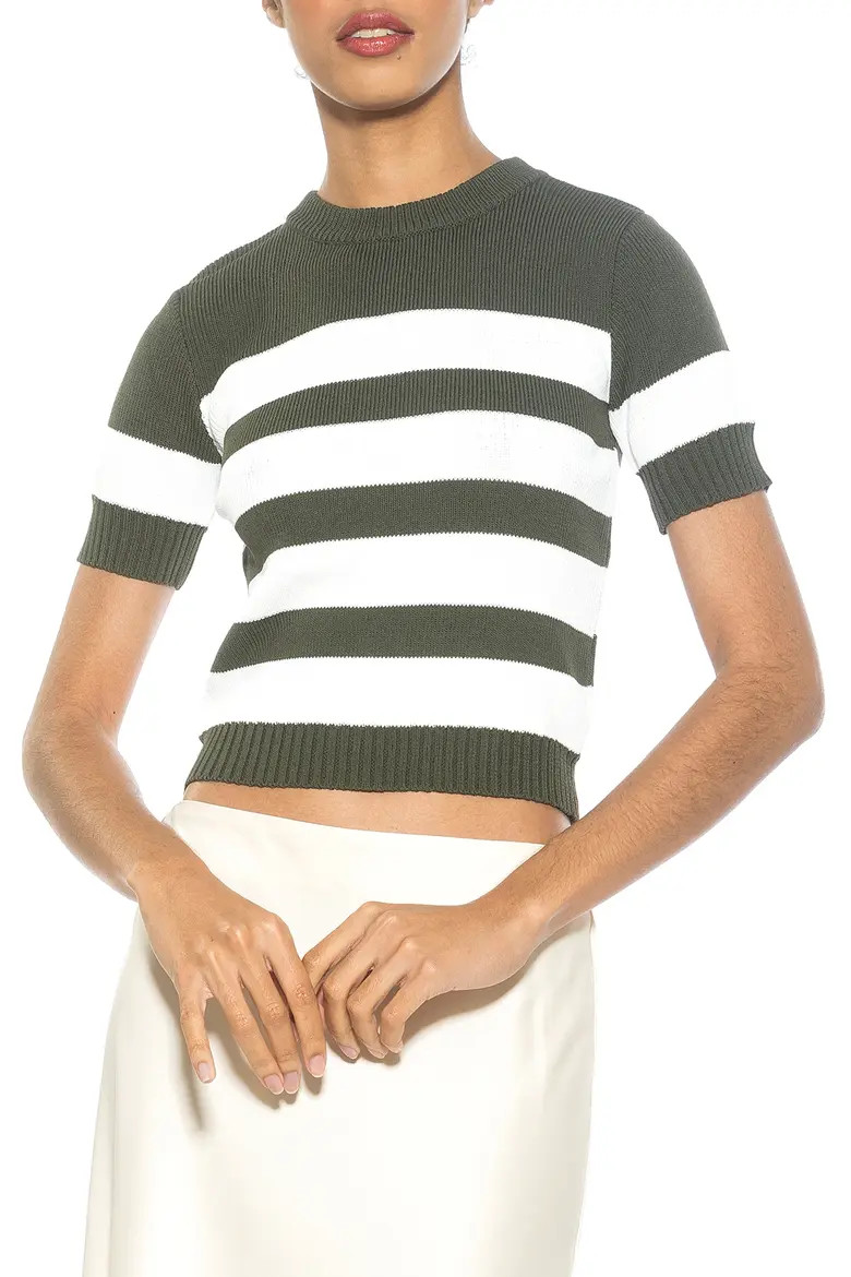 Alexia Admor Pat Stripe Short Sleeve Sweater Top (Women) | Nordstromrack | Nordstrom Rack