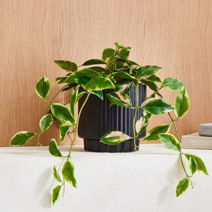 Faux Potted Spiderwort Plant | West Elm (US)