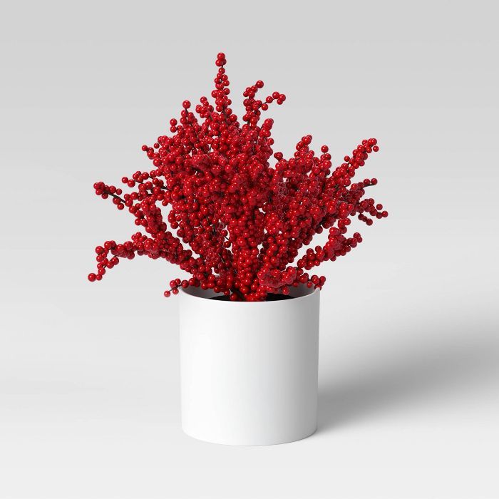 Plant Red Berry - Threshold™ | Target