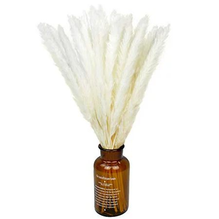 FOTEEWL Dried Pampas Grass 30 Pcs, Pompous Grass for Vase Flower Arrangement Wedding Kitchen Home De | Walmart (US)