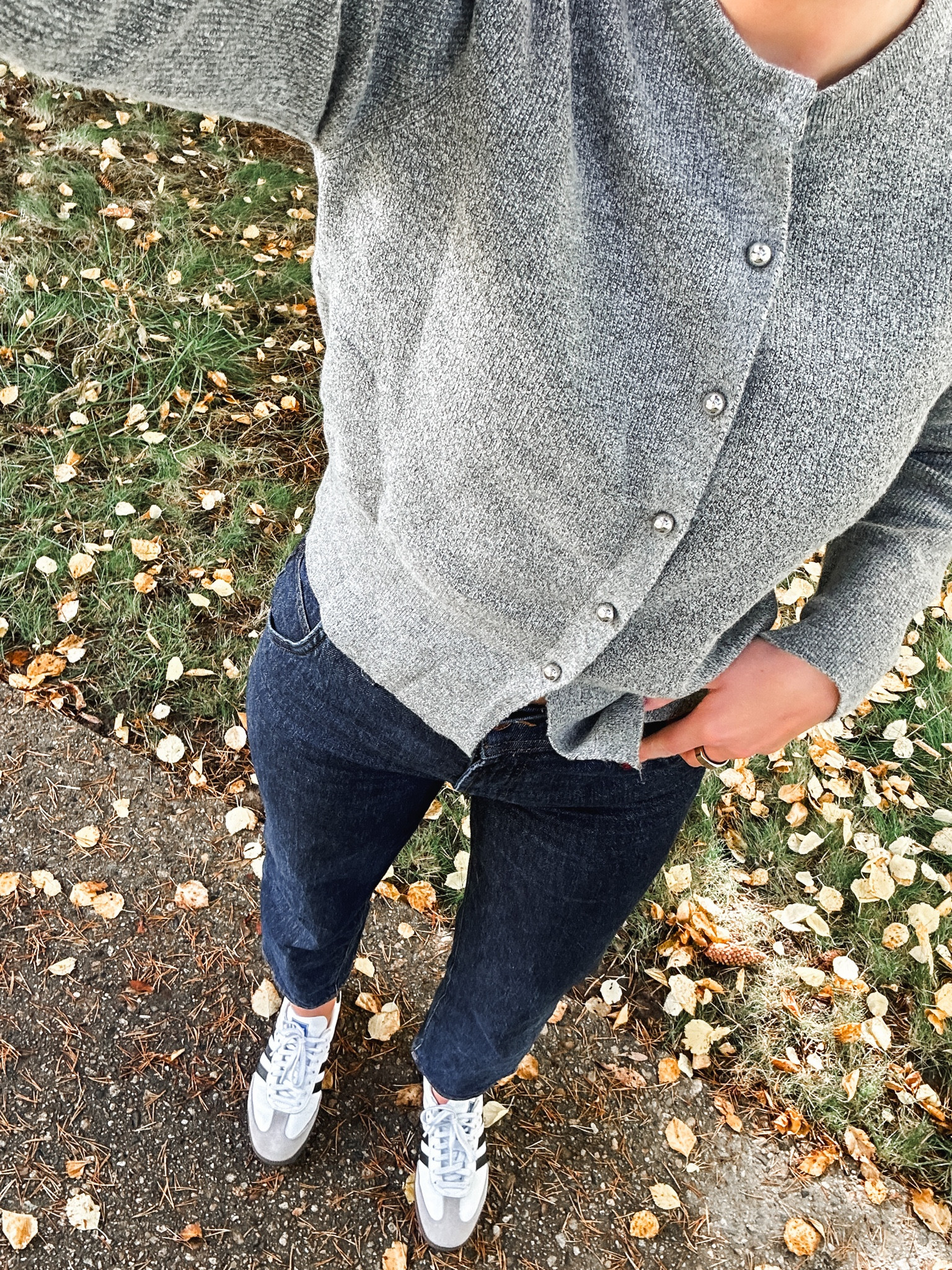 Cardigan is Zara, dark wash jeans - 27, adidas samba 

#LTKSeasonal #LTKfindsunder100