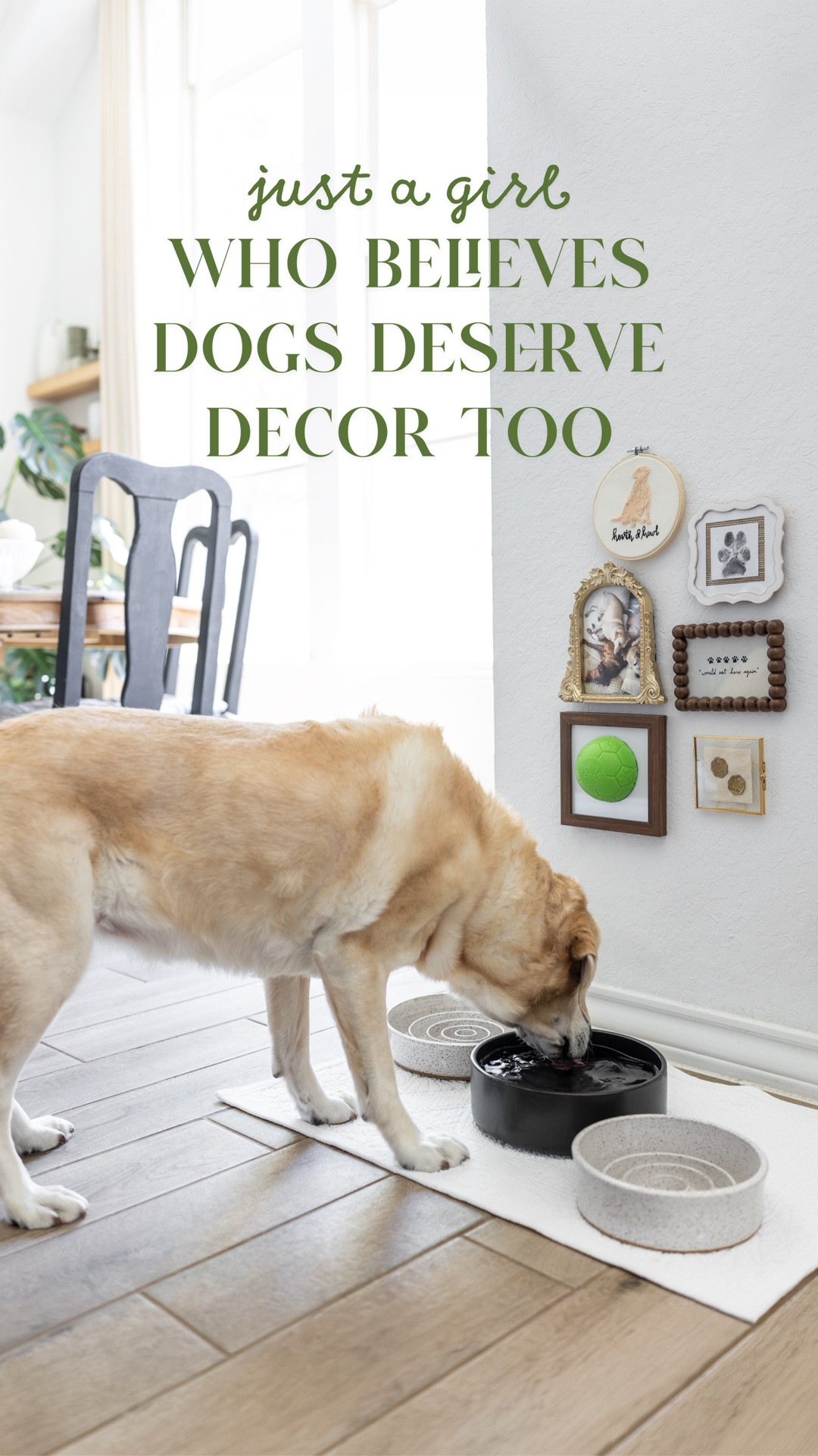 Proof that even the dog corner can be beautiful. 🤎 This gallery wall turned the dogs’ feeding station into one of my favorite spaces in the house.

#LTKHome #LTKvlog #LTKSaleAlert