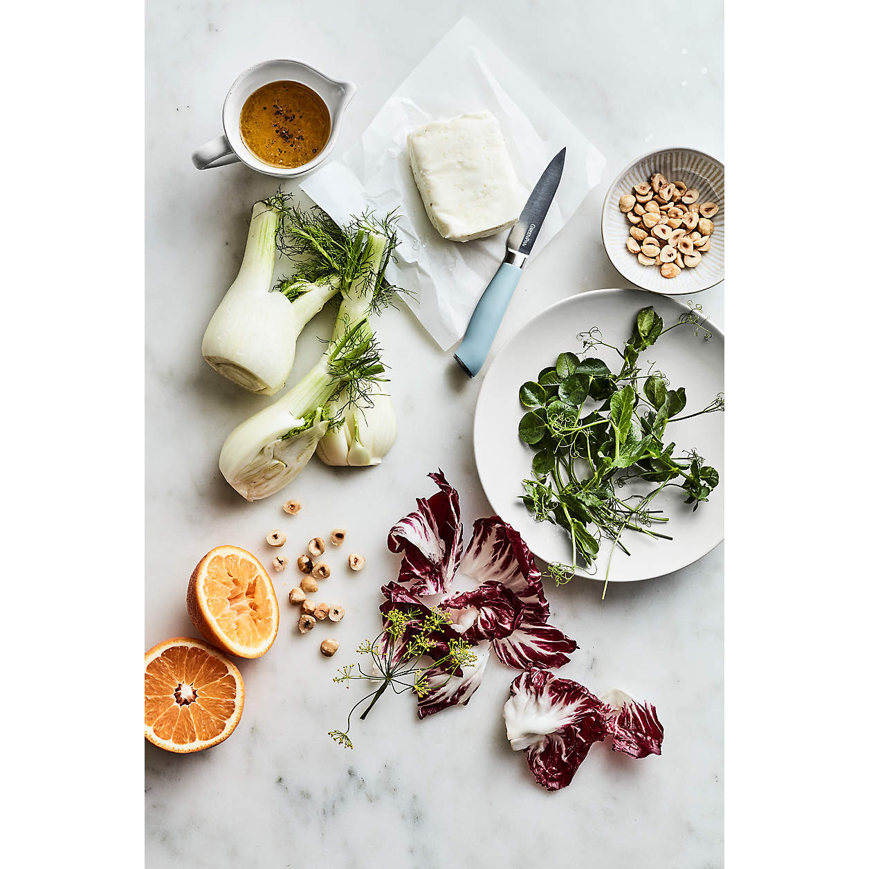 Aspen Porcelain Coupe Dinner Plate + Reviews | Crate & Barrel | Crate & Barrel