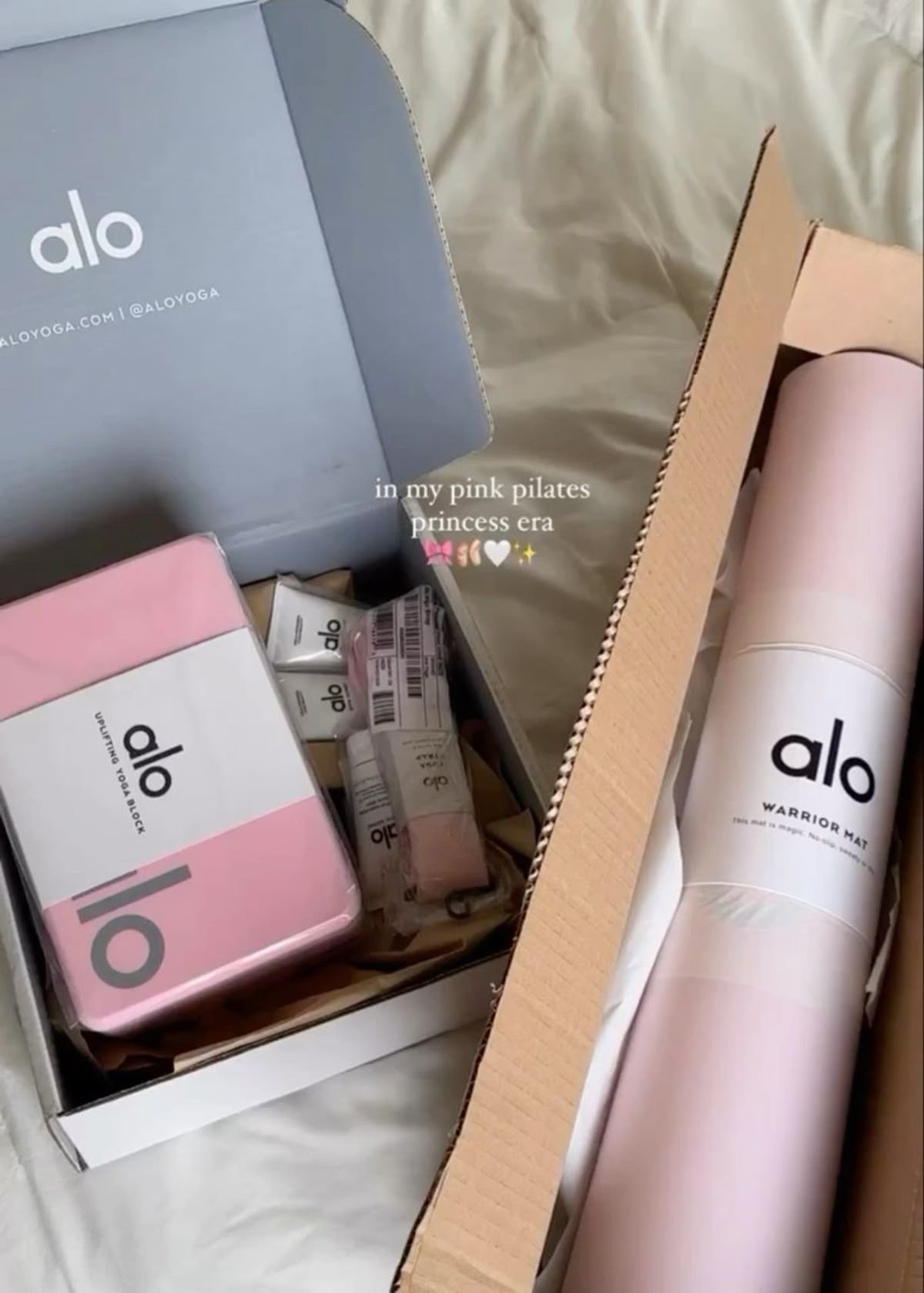 Alo Wishlist ideas. The light pink colors are currently unavailable but I linked similar colors below 

#LTKActive #LTKGiftGuide #LTKStyleTip