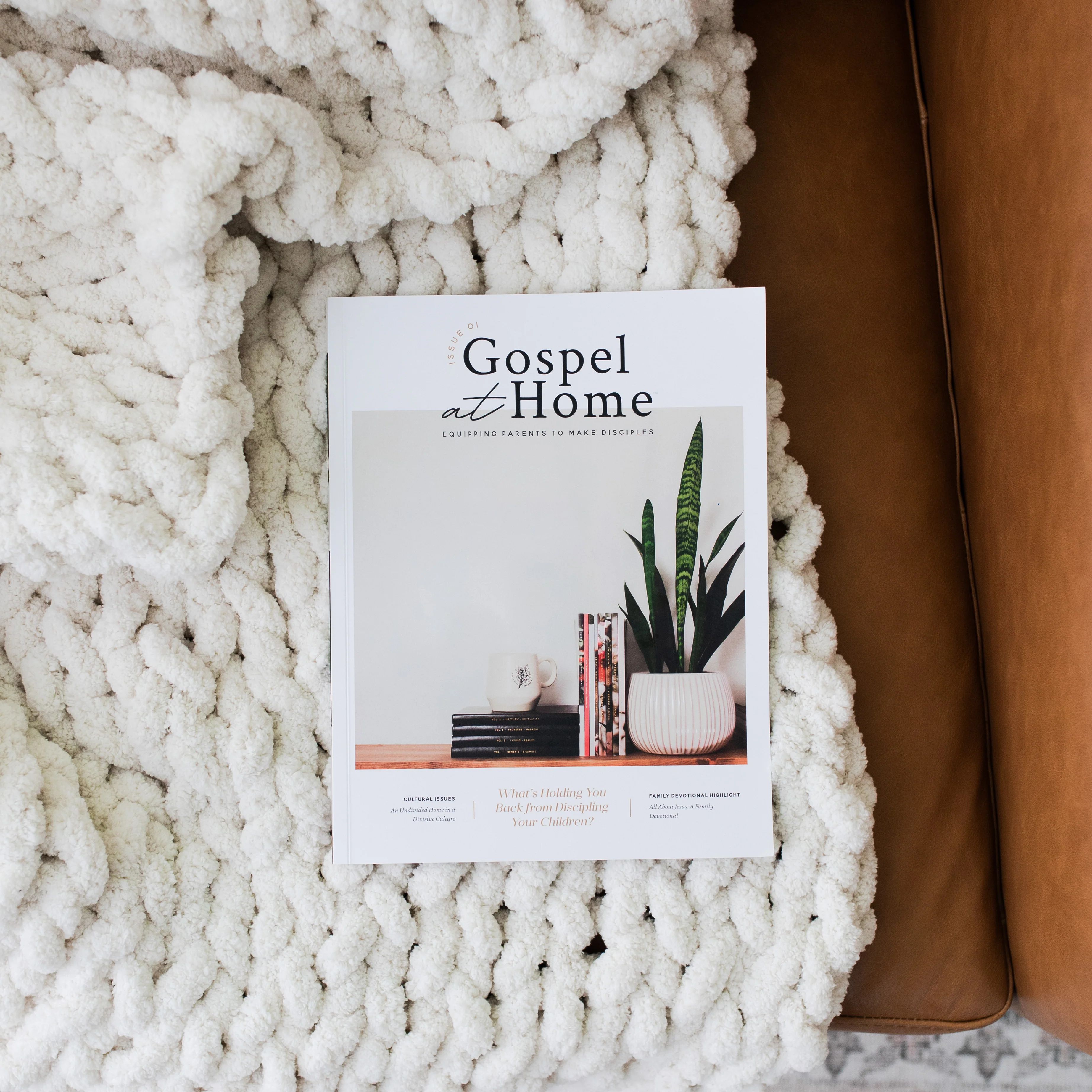 Gospel at Home Subscription | The Daily Grace Co.
