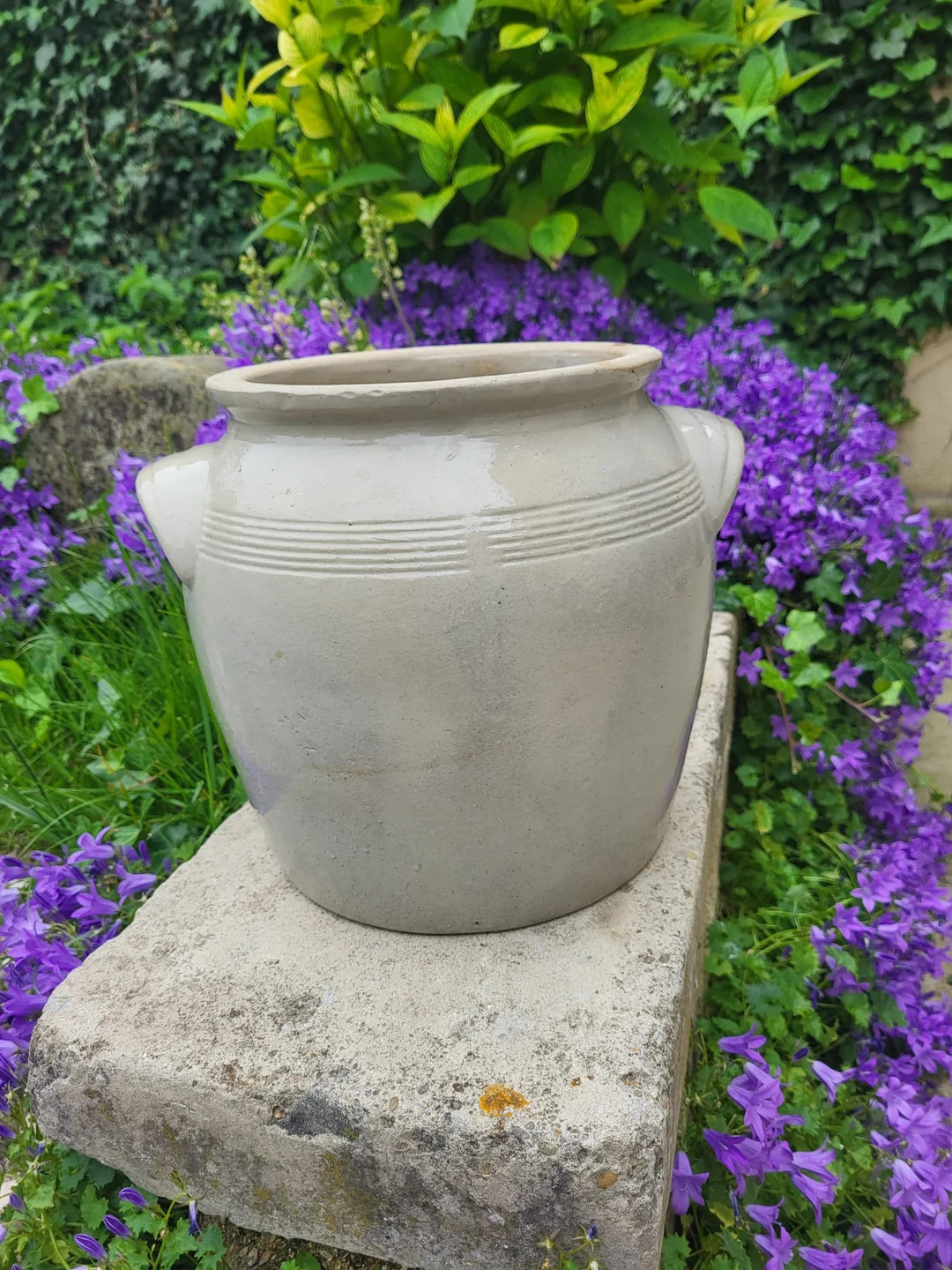 Stoneware Preserve Pot - Etsy | Etsy (US)