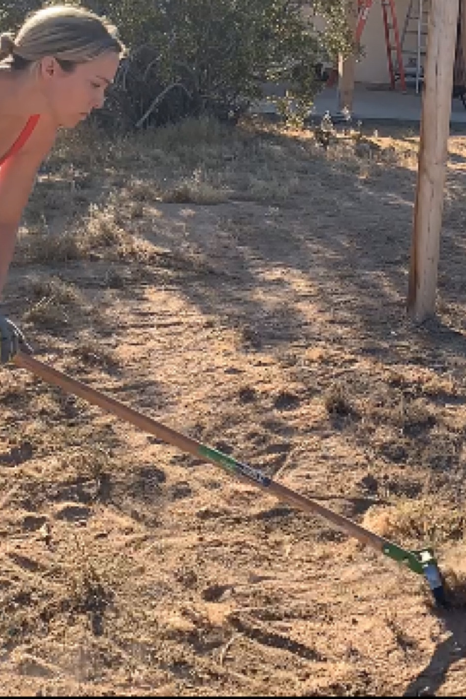 High Desert Backyard ESSENTIAL 

#LTKSeasonal #LTKhome