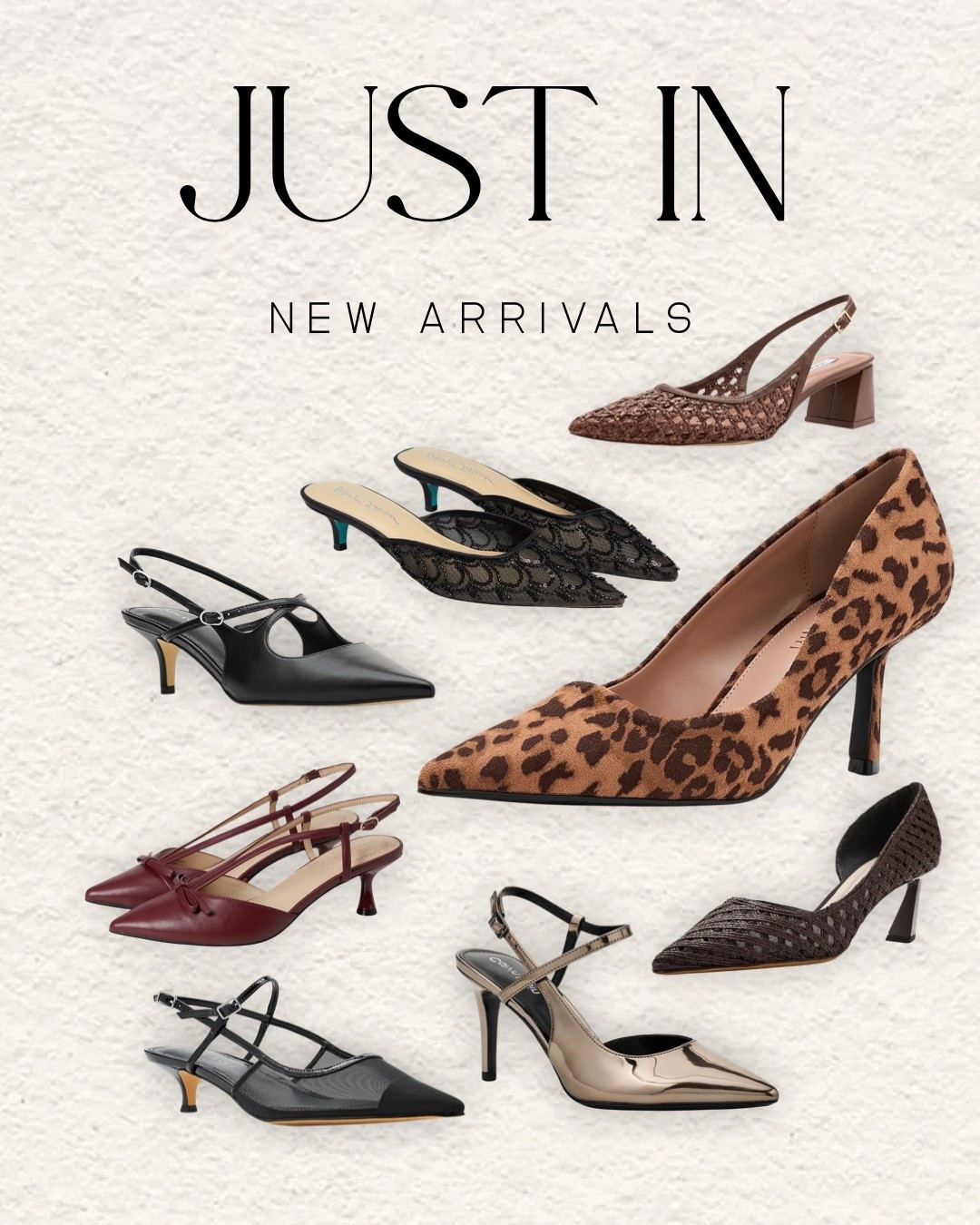 The shoe trends I’m loving right now. 👠✨

If you’re looking for the best women’s shoes this season, these are the pairs worth adding to your closet. From leopard print pumps and chic slingback heels to mesh styles, woven textures, and timeless pointed-toe silhouettes, these picks elevate everything from jeans to dresses and workwear.

I’ve rounded up my favorite new arrivals from retailers I shop and trust, so you can find the season’s biggest shoe trends all in one place. Shop every pair through my links below.

#LTKStyle #LTKShoeCrush #ShoeTrends #WomensShoes #PointedToeHeels #SlingbackHeels #LeopardPrint #MeshShoes #WorkwearStyle #OfficeFashion #DateNightStyle #FashionOver40 #MillennialStyle #CapsuleWardrobe #NeutralStyle #TrendingFashion #FallFashion #ClassicStyle #WardrobeEssentials #LTKFashion

#LTKootd #LTKOver40 #LTKSaleAlert