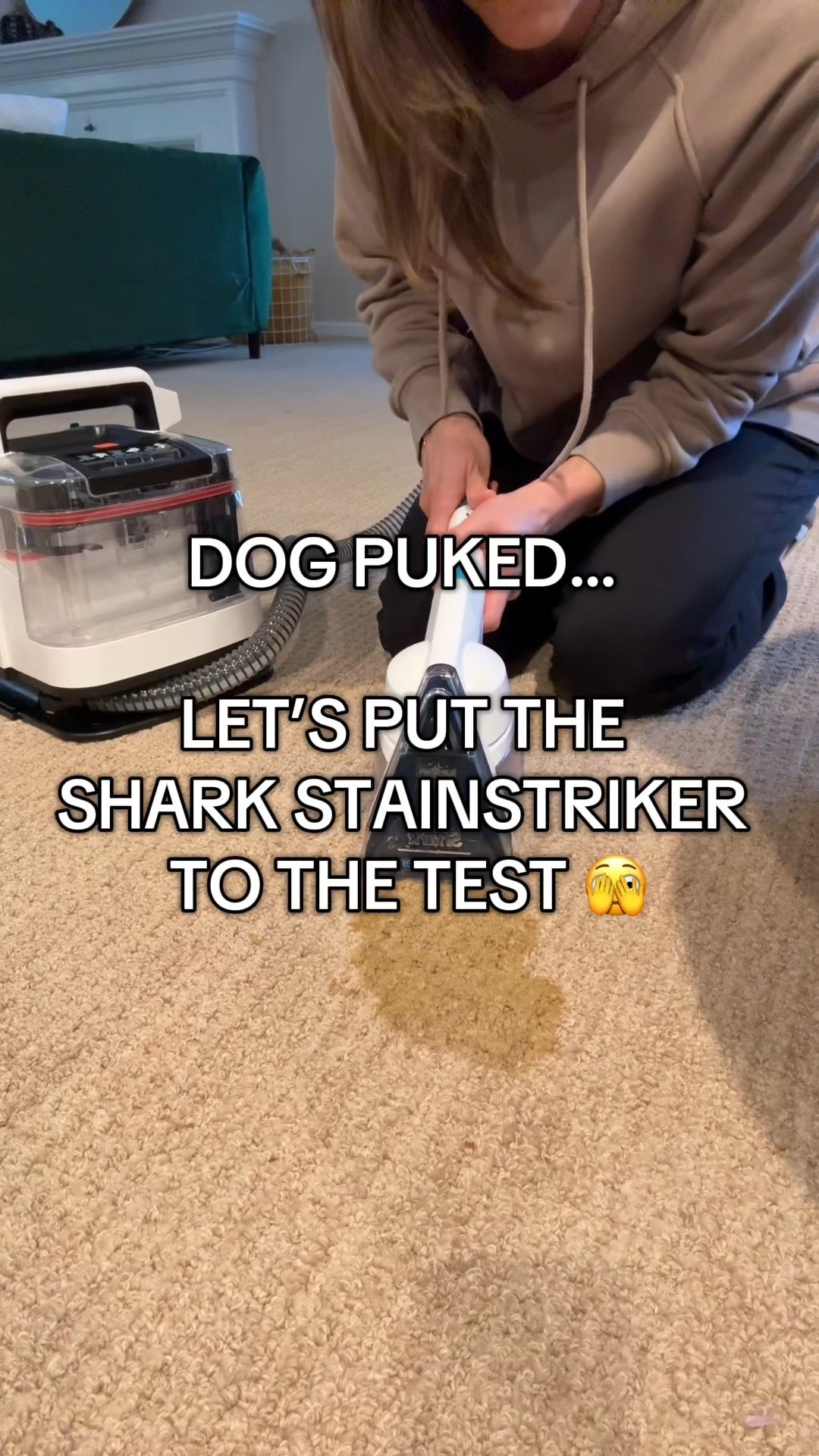 Tackle tough stains fast with the Shark StainStriker Carpet & Upholstery Cleaner! Perfect for pet messes, spills, and deep cleaning your home. Easy to use, powerful suction, and safe for carpets, rugs, and furniture. Try the pet attachment to keep your main tank separate from the mess!  #sharkstainstriker #carpetcleaner #petowner #parents #musthave

#LTKGiftGuide #LTKHome