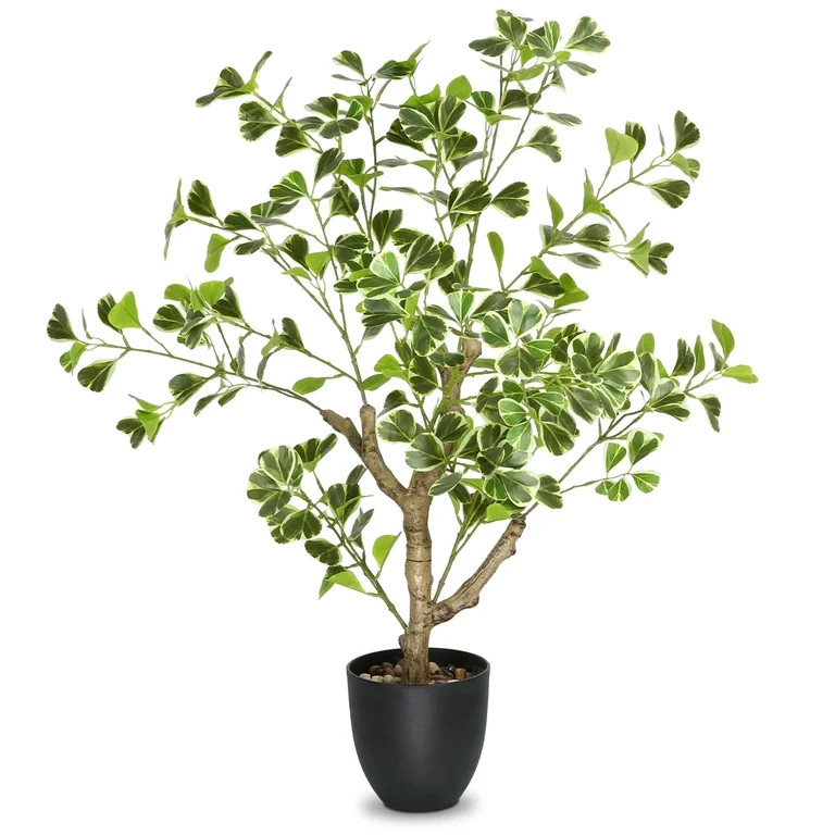 PARMPH 29'' Artificial Ficus Plants, White-Edged Green Heart-shaped Ficus Plants in Pot with Natu... | Walmart (US)