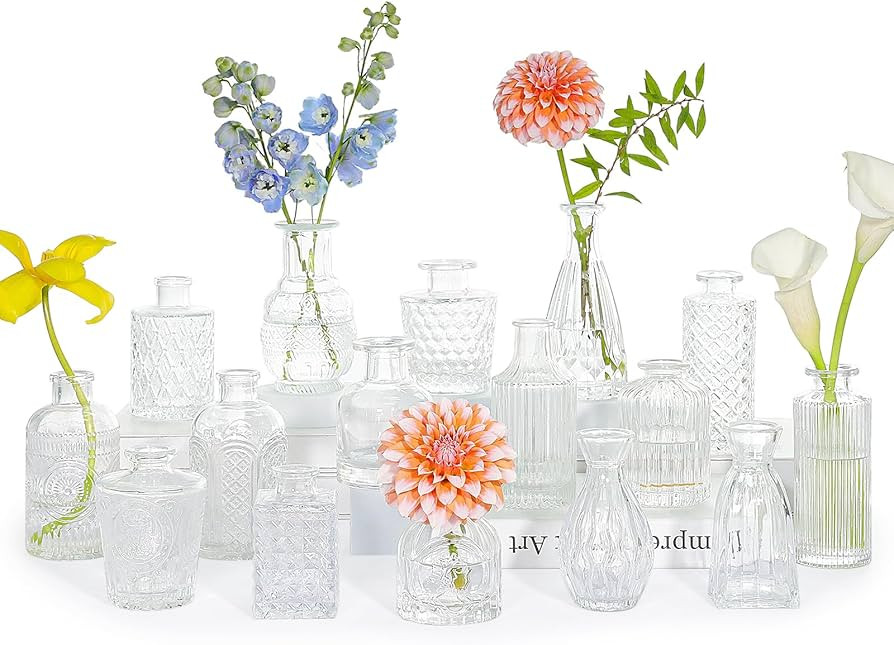16pcs Glass Bud Vase Set, Small Clear Flower Vases for Centerpieces in Bulk, Cute Mini Vintage Va... | Amazon (US)