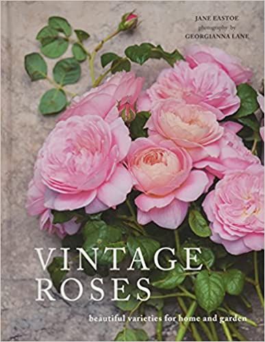 Vintage Roses: Beautiful Varieties for Home and Garden    Hardcover – February 7, 2017 | Amazon (US)