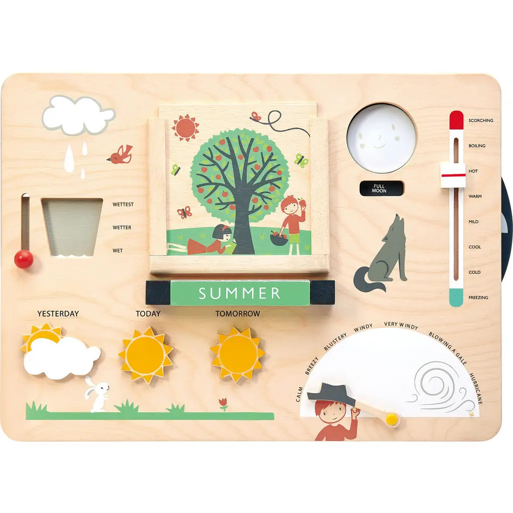 Tender Leaf Toys Weather Watch Board in Multi at Nordstrom | Nordstrom
