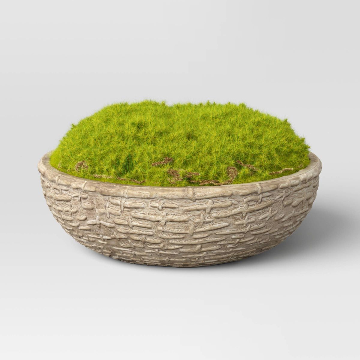 3.5" Artificial Moss in Textured Pot Green - Threshold™ designed with Studio McGee | Target