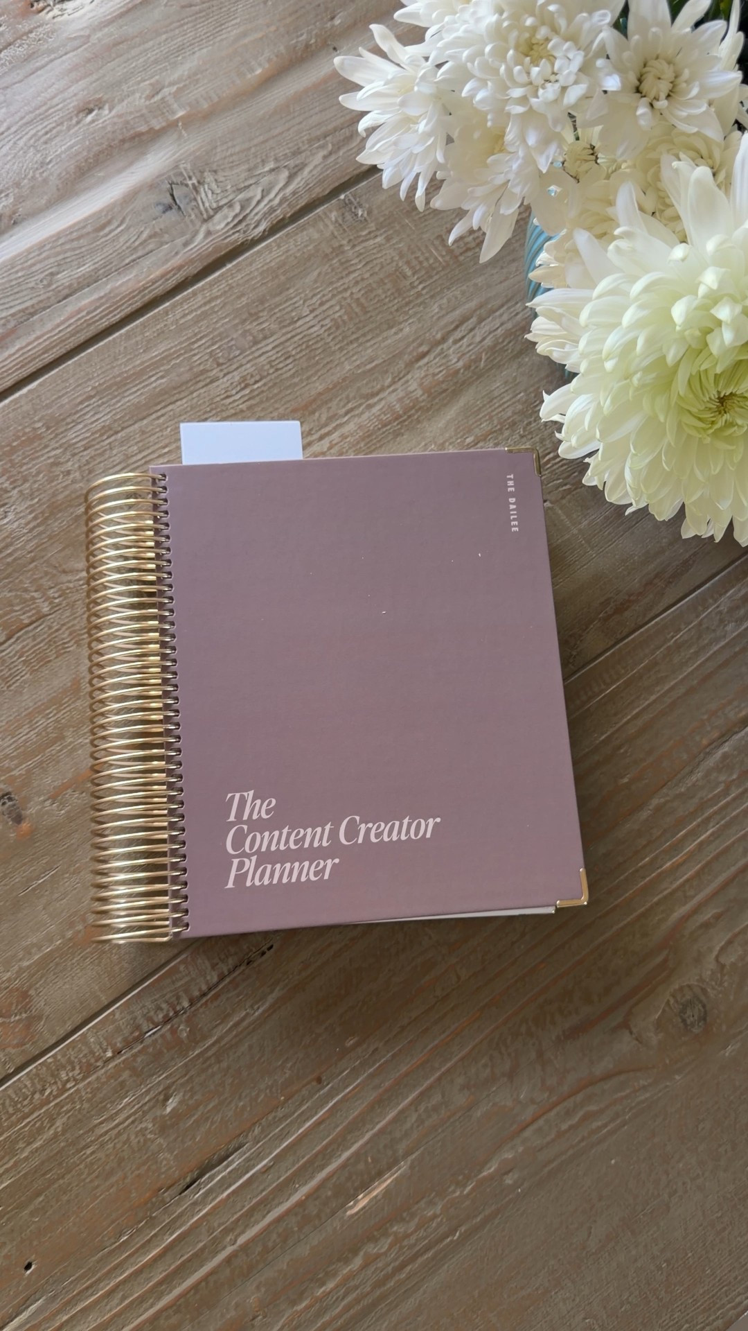 Lots of targeted planners, teacher, wedding, student. Ect.  Digital available too 


#LTKOver40 #LTKFindsUnder100