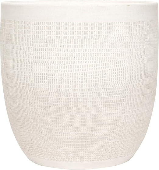 Creative Co-Op Coastal Embossed Textured Stoneware Planter, Matte White Large | Amazon (US)