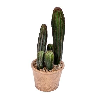 Vickerman 10.5" Green Cactus, Paper Pot. | Target