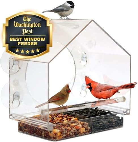 Nature Anywhere Window Bird Feeder - Transparent Acrylic Bird Feeders for Outdoors - Enhanced Suc... | Amazon (US)