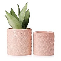 Greenaholics Ceramic Plant Pots - 6 and 5 Inch Planters with Drainage Holes for Flower Indoor Decora | Amazon (US)