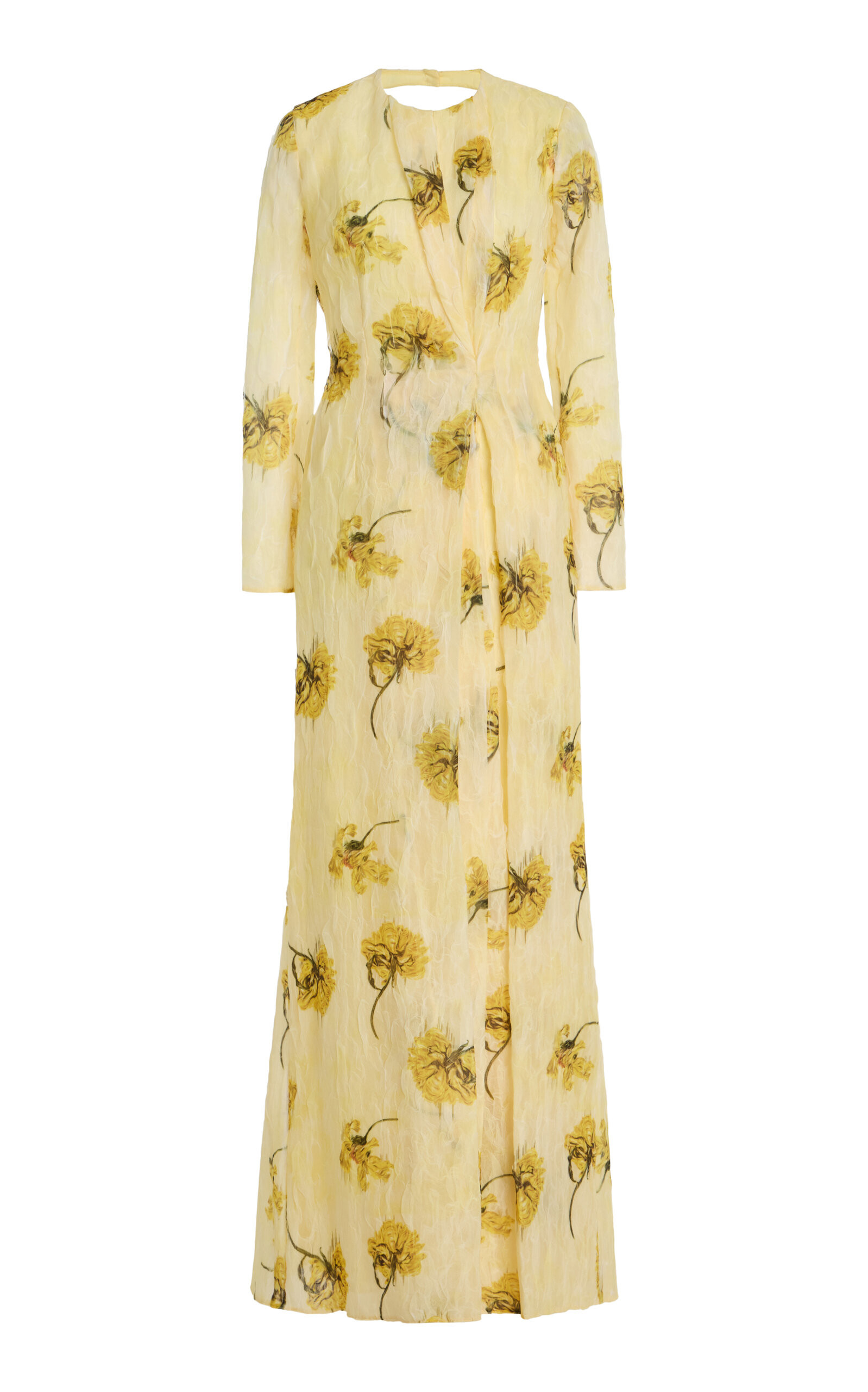 Desiderio Printed Chiffon Gown | Moda Operandi (Global)