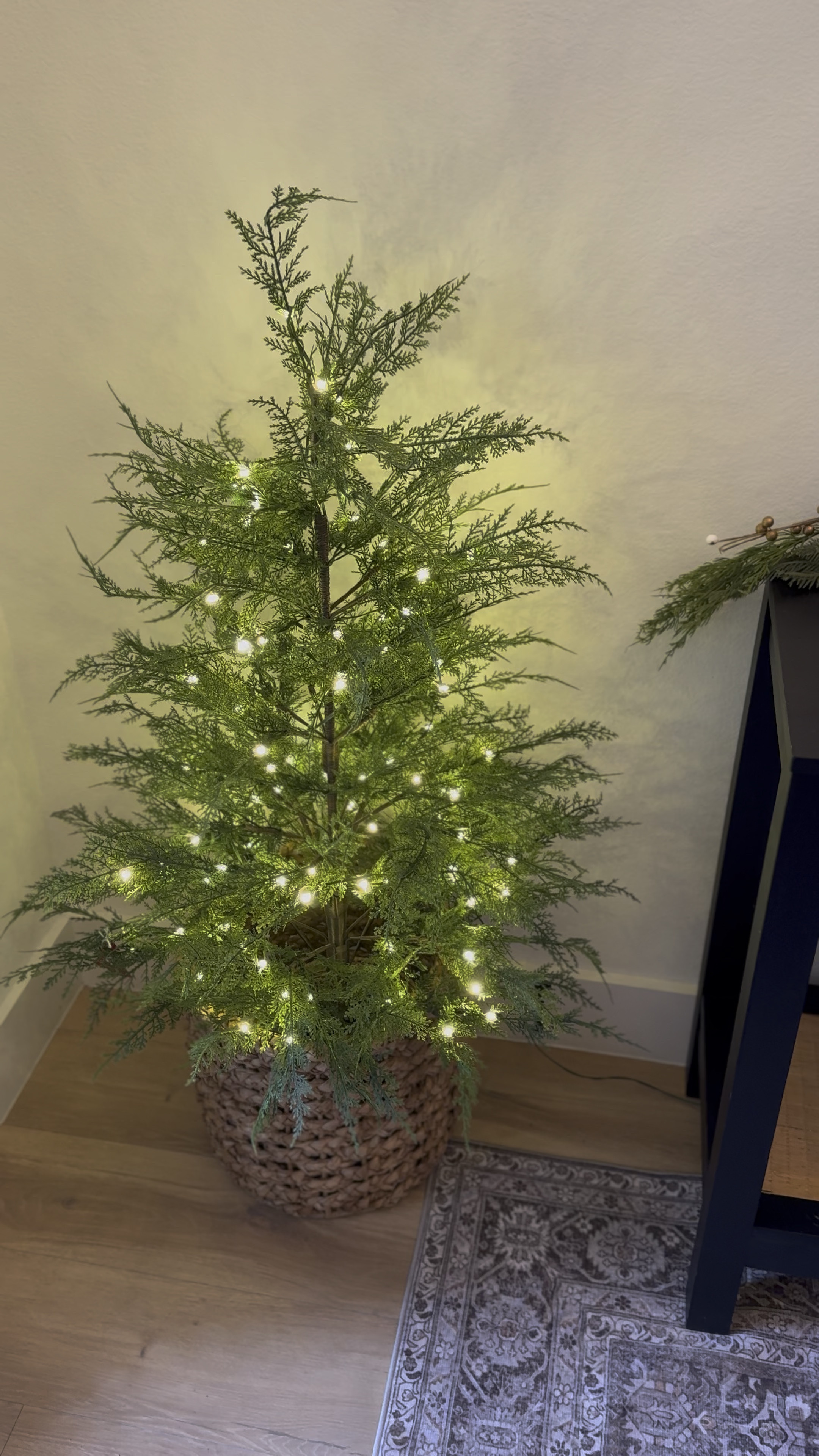 Christmas has arrived! I love how these @mytexashouse trees really put you in the Christmas spirit and brighten our entry way perfectly! 


#ChristmasDecor #ChristmasTrees #MTH #MyTexasHouse 

#LTKHoliday #LTKSeasonal #LTKHome