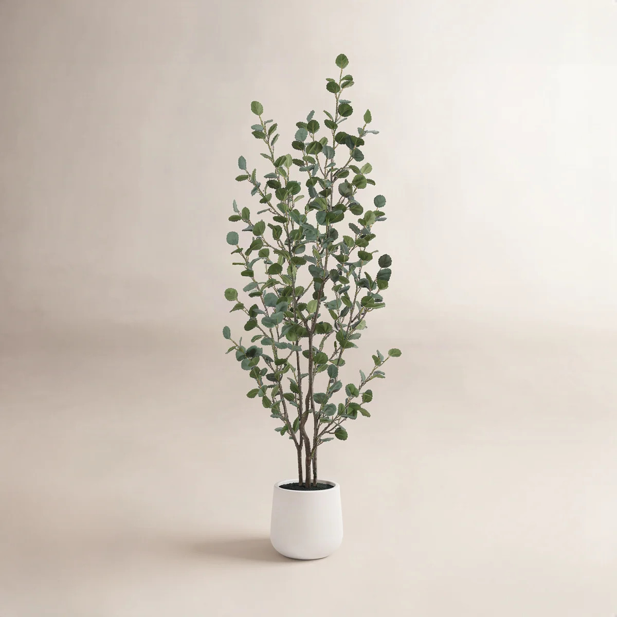 Adalia Artificial Eucalyptus Tree in White Planter | Wayfair North America
