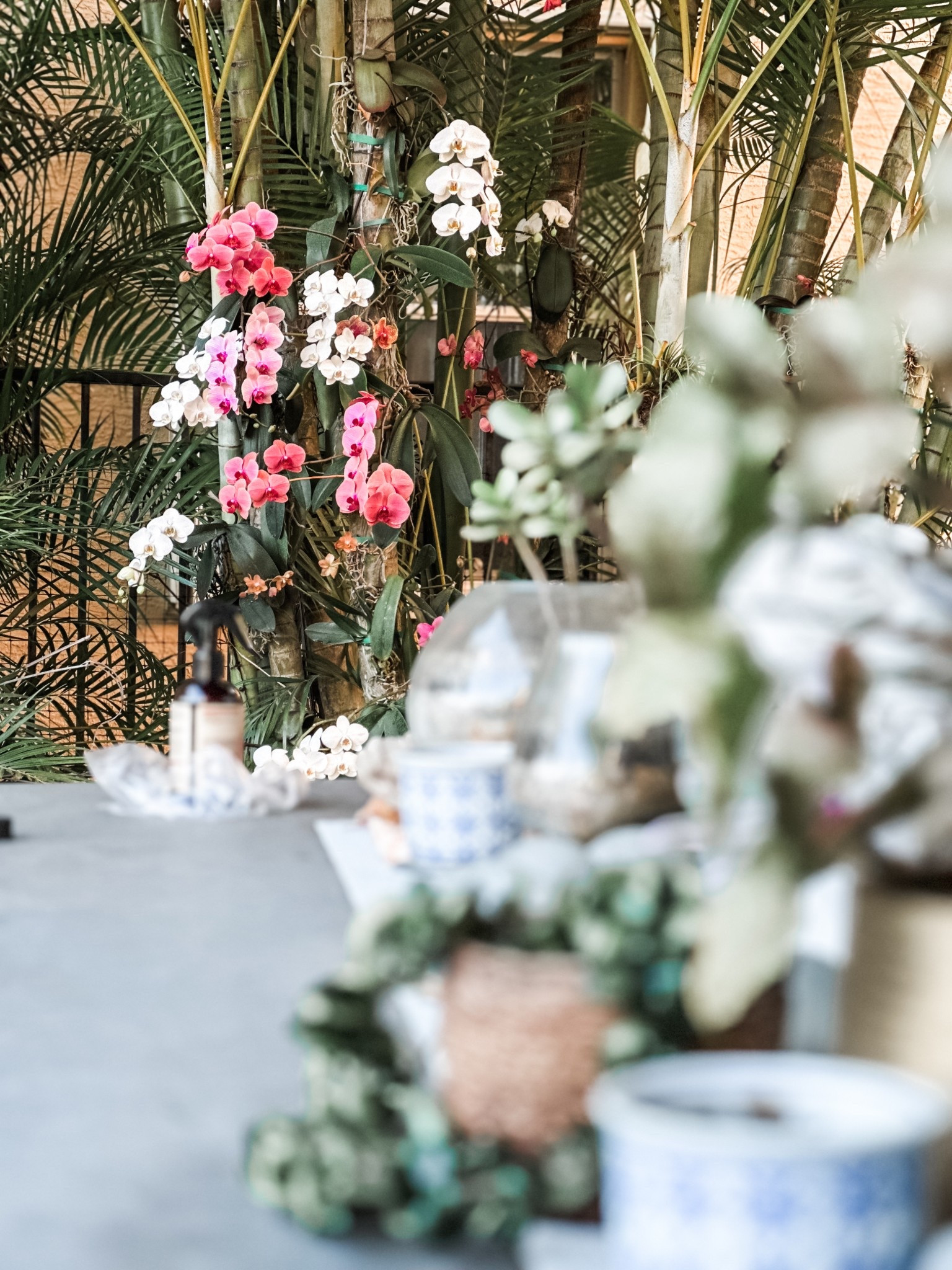 Backyard decor • orchid fertilizer • gardening • planters • patio decor • backyard refresh • outdoor furniture • outdoor table • outdoor dining table and chairs • 

#LTKHome #LTKFindsUnder100 #LTKSeasonal