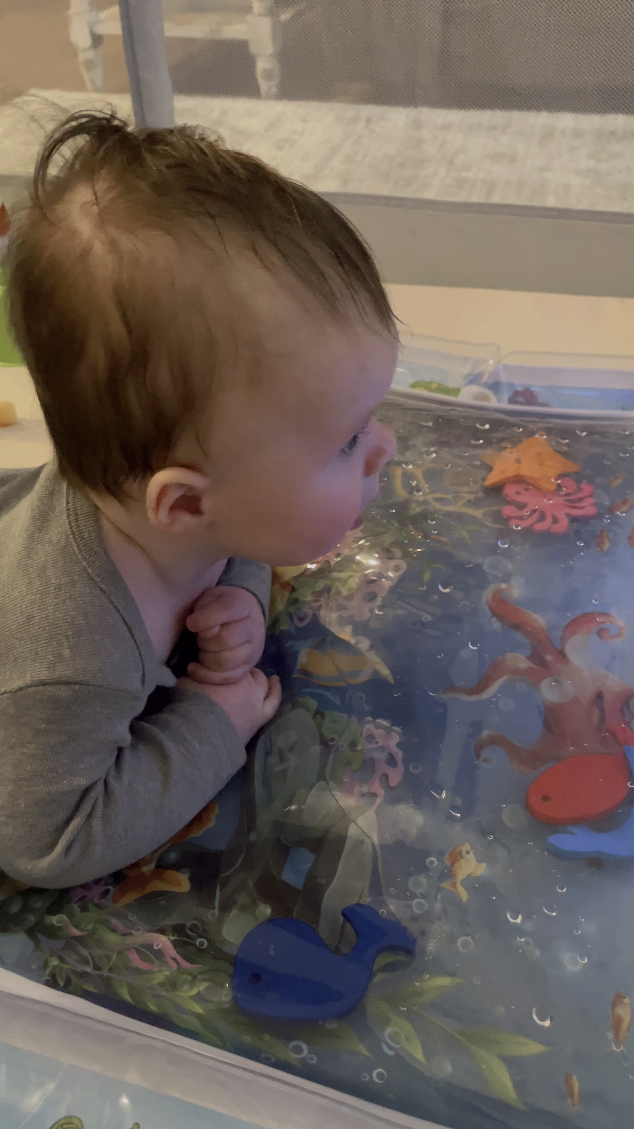 Our favorite tummy time toys from Amazon! He loves the Baby Einstein fish aquarium musical toy and the fish water play mat. Perfect options for a baby’s first Christmas present. We are playing in our baby/toddler play pen from Amazon that’s the perfect size for our small living room. It has a white pad insert we added that can be unzipped and washed as well. It was super easy to put together and neutral colors that match the rest of our home  

#LTKBaby #LTKFindsUnder50 #LTKHoliday