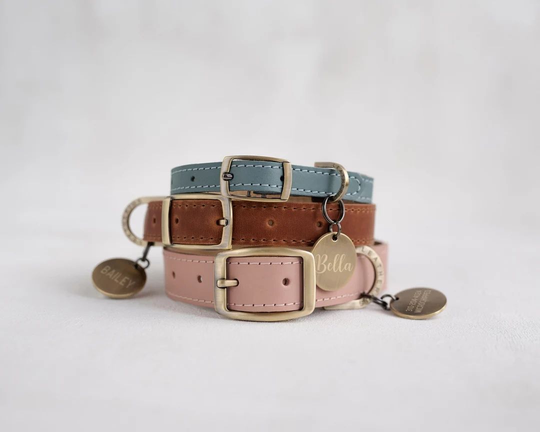 Leather dog collar, personalized dog collar leather, cat collar personalized, cat collar leather, pu | Etsy (US)