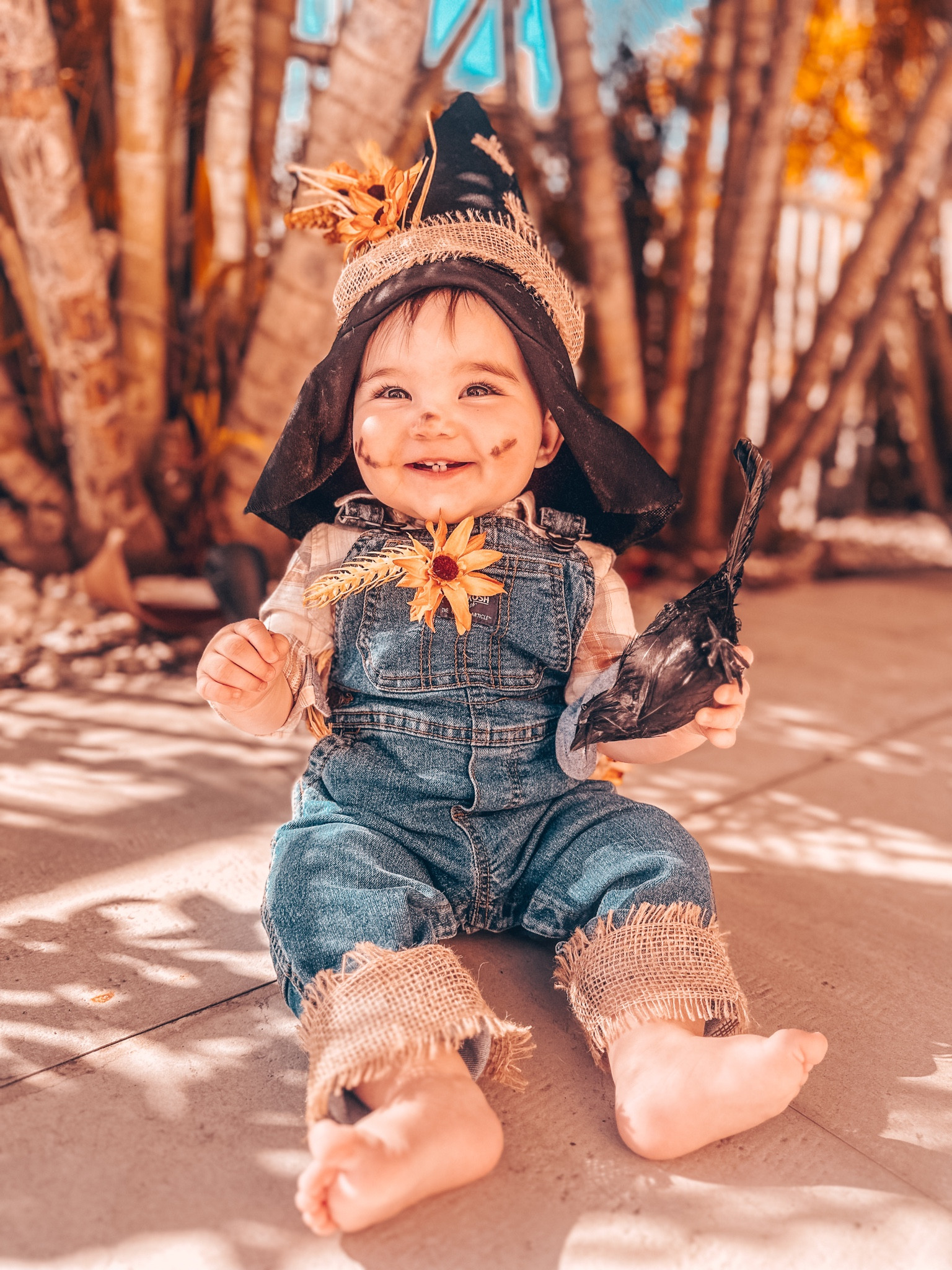 First Halloween costume homemade 😍 with clothes that he can re-wear the next few months! 

#LTKkids #LTKHalloween #LTKfindsunder50